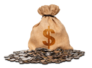 bag of money