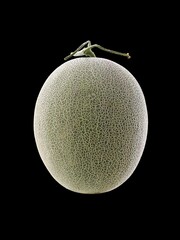 Ffresh ruit cantaloupe isolated on black background