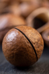 A bunch of ripe macadamia nuts in a hard shell