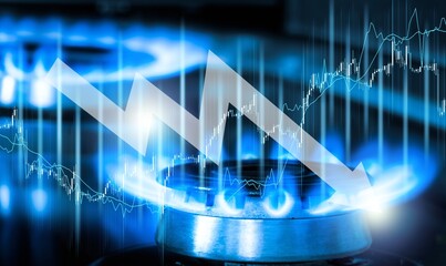 Blue gas burners with fire and price concept chart