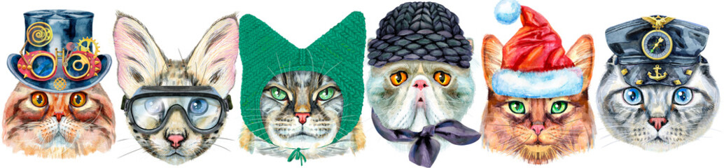 Cute cats. Cat for t-shirt graphics. Watercolor cats illustration. Watercolor hand drawn illustration