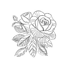 Beautiful Roses Flower Coloring book, line art vector.