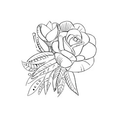 Beautiful Roses Flower Coloring book, line art vector.