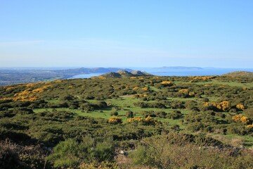 Fototapeta premium Aerial view of a vast landscape and coast of Bray Co Wicklow in Ireland