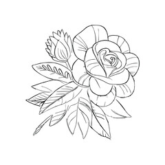 Beautiful Roses Flower Coloring book, line art vector.
