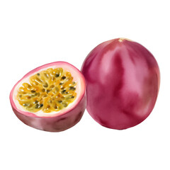 A Whole and Half Passion Fruit with Seeds Isolated Hand Drawn Painting Illustration