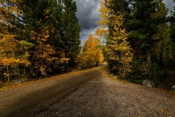 Dirt road between colorful autumn trees with a dark cloudy sky