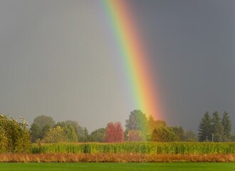 Beautiful view of the rainbow over the cornfield
