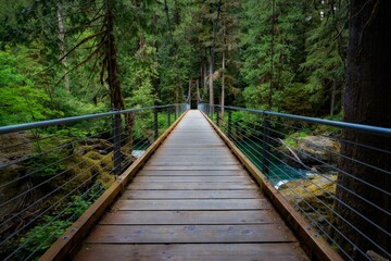 Beautiful view of a forest bridge corssing in the Pacific Northwest