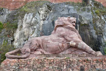 Photo sur Plexiglas Monument historique Closeup of the Lion of Bartholdi statue in France