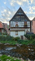 Scenic vertical view of traditional houses and evergreen bushes in Alsace, France