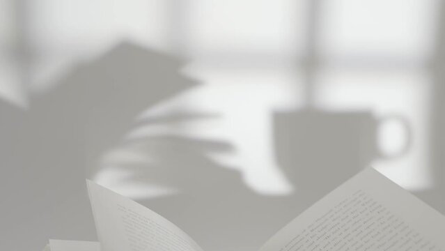 Grayscale footage of book pages and mug shadow on white wall