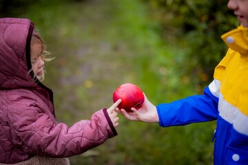 Closeup of a little boy giving his sister a ripe apple.