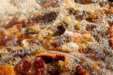 Closeup shot of a traditional Mexican food pork carnitas.