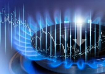 Blue gas burners with fire and price concept chart