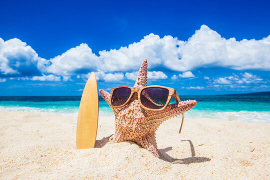 Starfish surfer on beach