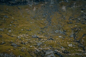 Mountain landscape field at daytime