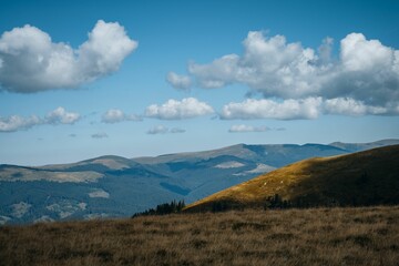 Fototapeta premium Plain landscape with forest mountains and cloudscape in the background