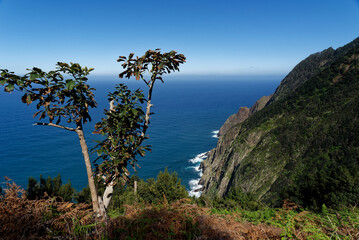 Fototapeta na wymiar Portugal - Madeira - Porto da Cruz - Küstenwanderung