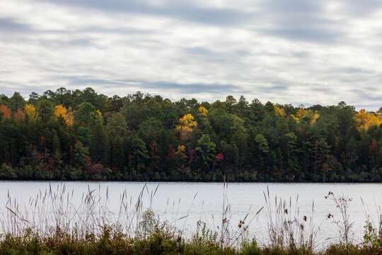 Scenic view of lake against autumn trees at Cheraw State Park in Chesterfield County, South Carolina
