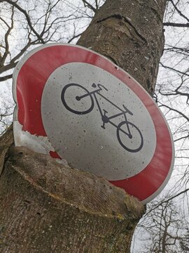Baum frisst Schild mit einem Verbot für Radfahrer