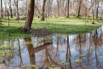 A bench near a large puddle of water. In the park after the rain. Lots of water after rain in the...