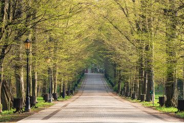 Wiosenny poranek w parku Pszczyna, Polska  © Elżbieta Kaps
