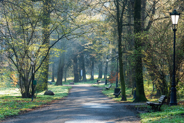 Wiosenny poranek w parku Pszczyna, Polska  © Elżbieta Kaps