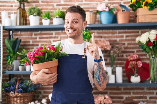 Young hispanic man working at florist shop holding plant pot smiling with an idea or question pointing finger with happy face, number one