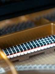 Vertical shot of the hammers of the piano on the blurred background