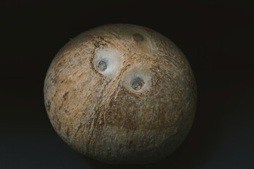 whole fresh coconut isolated on black background