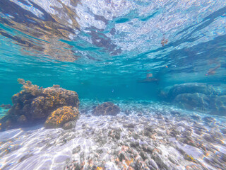 Underwater view of Anse Severe seabed