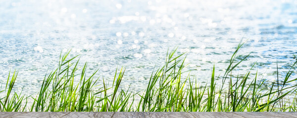 green reed grasses in sunshine lakeside with wooden jetty, product presentation space on empty...