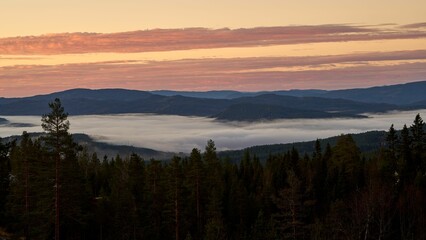 Aerial view of a pine forest in a valley covered with clouds in Kroderen, Norway at dawn