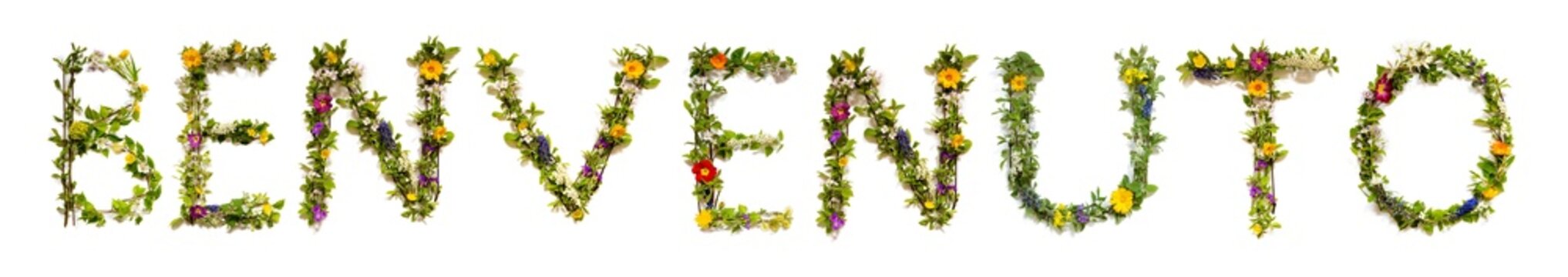 Colorful Flowers Building Word Benvenuto, Isolated Background