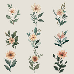 Beautiful hand-drawn, botanical, floral flower vector illustration. romantic watercolor flowers