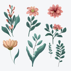 Beautiful hand-drawn, botanical, floral flower vector illustration. romantic watercolor flowers. set of flowers