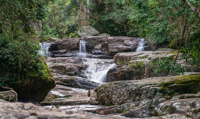 Serene River Flowing Through Lush Tropical Forest