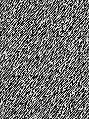 Photo of a mesmerizing black and white pattern