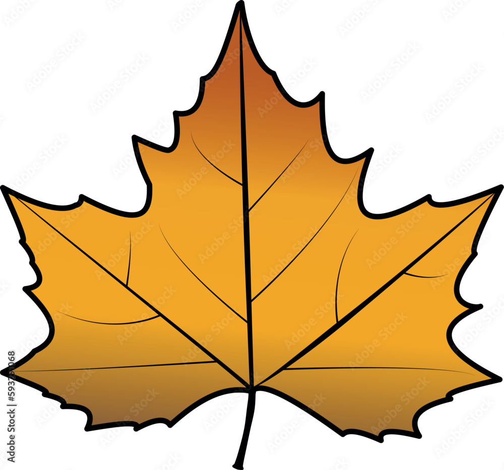 Poster yellow and brown plane tree leaf. autumn tree leaf. platanus leaf drawing isolated. white background