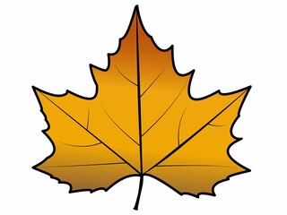 Yellow and brown plane tree leaf. Autumn tree leaf. Platanus leaf drawing isolated. White background