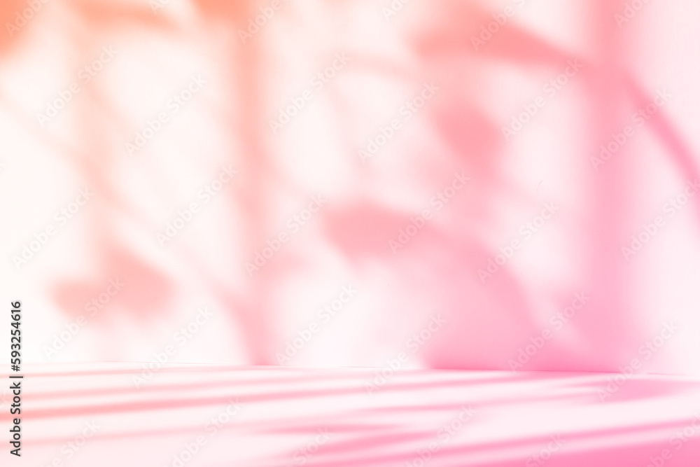 Poster Abstract pink color gradient studio background for product presentation. Empty room with shadows of window and flowers and palm leaves . 3d room with copy space. Summer concert. Blurred backdrop.