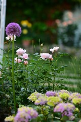 Vertical shot of flowers in a garden against blurred background
