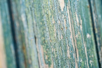 Authentic antique detail of a weathered wooden door in a dilapidated house