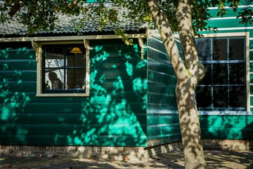 Wooden house with green painted planks and atmospheric sunlight