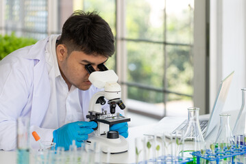 Scientist Doing Experiment in Agriculture Lab to Develope Genetic Modification Crops