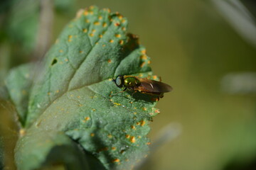 le printemps le meilleur ami des photographes