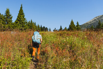 A hiker with a large backpack climbs the mountains along the trail, hiking in the mountains, autumn forest, solo climbing to the peak, trekking in the alps.