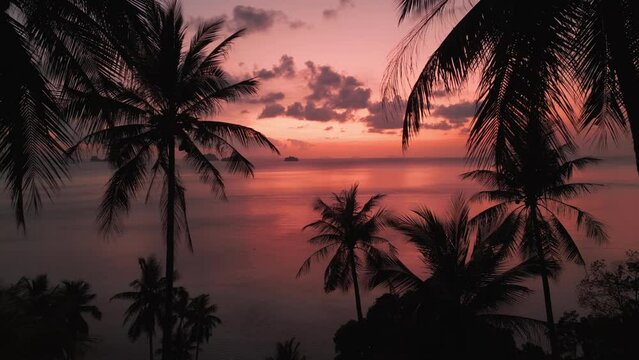 Cinematic aerial video camera moves Through silhouettes of palm trees to sea. Incredible orange tropical sunset on the sea and silhouettes of small islands. Concept of vacations in tropical country