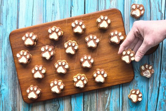 Selbstgebackene Katzenpf&ouml;tchen Pl&auml;tzchen
